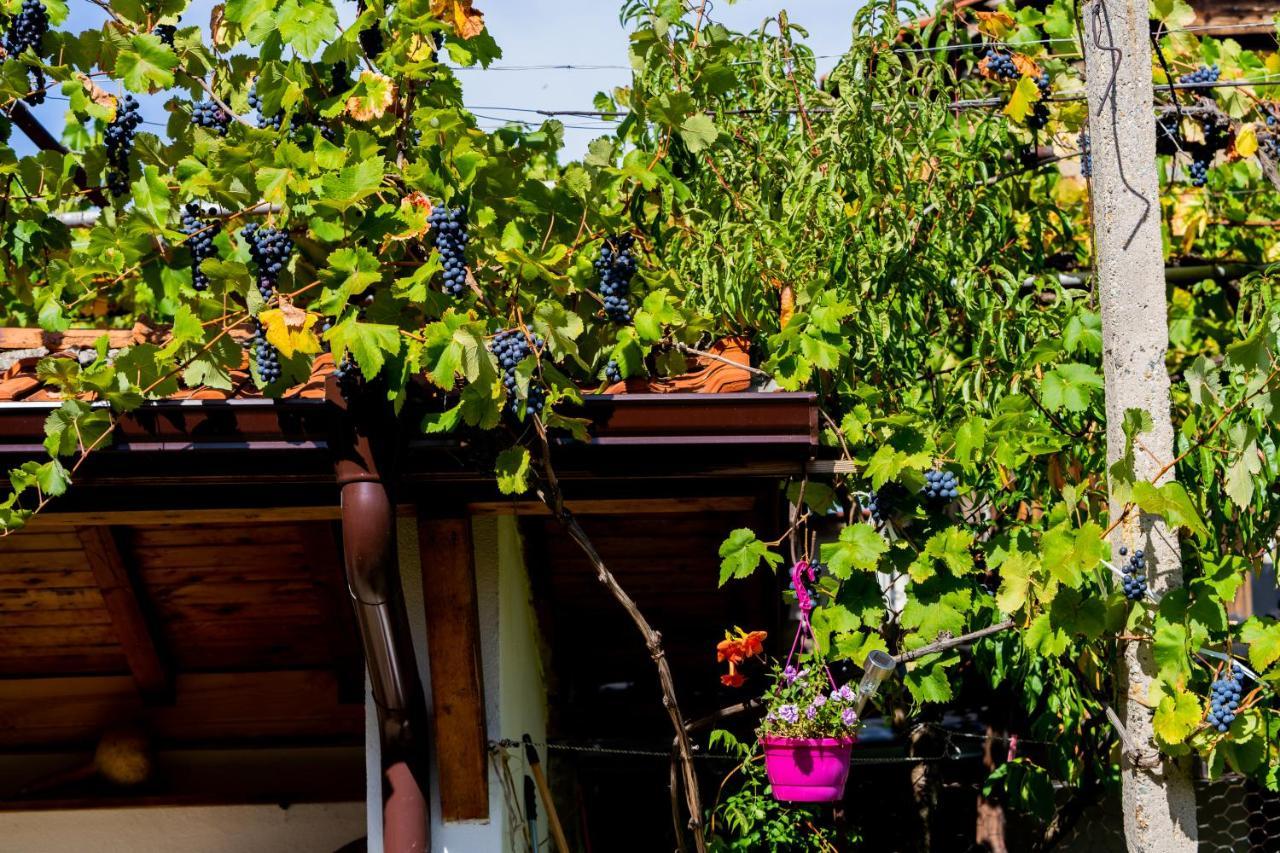Villa Къща Лиляна Resilovo Exterior foto